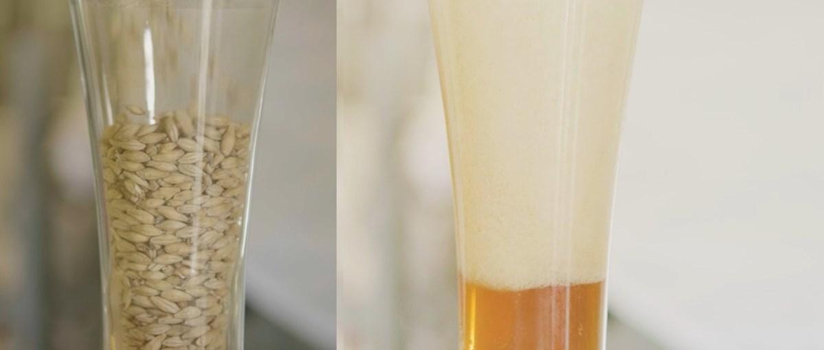 Køb et bryganlæg på DBA: Sådan brygger du din egen øl