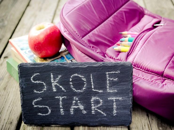 Danskerne søger efter brugte skoletasker penalhus og madkasser på DBA